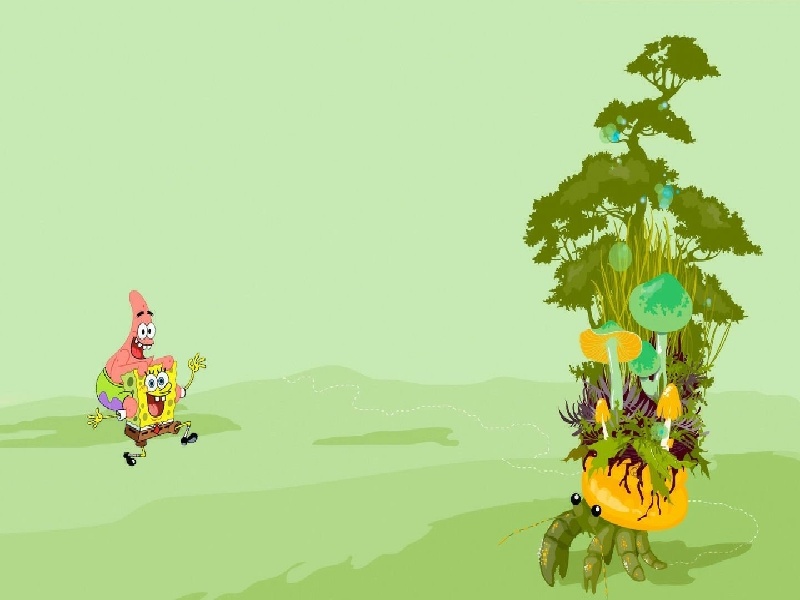 三代试管供卵试管花费人类幼崽（试管移植费用多少）